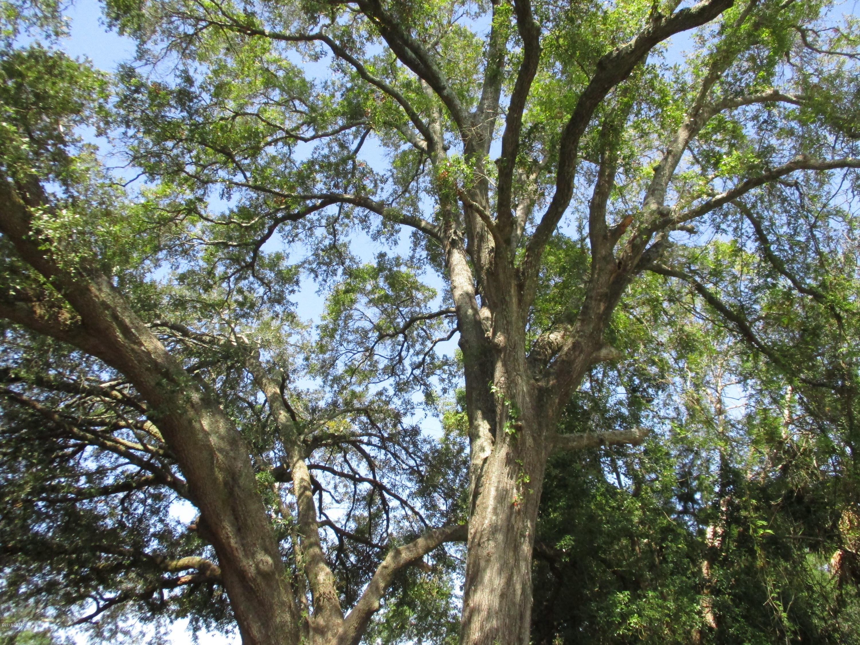 Keiths Bay Harbor Add - Residential