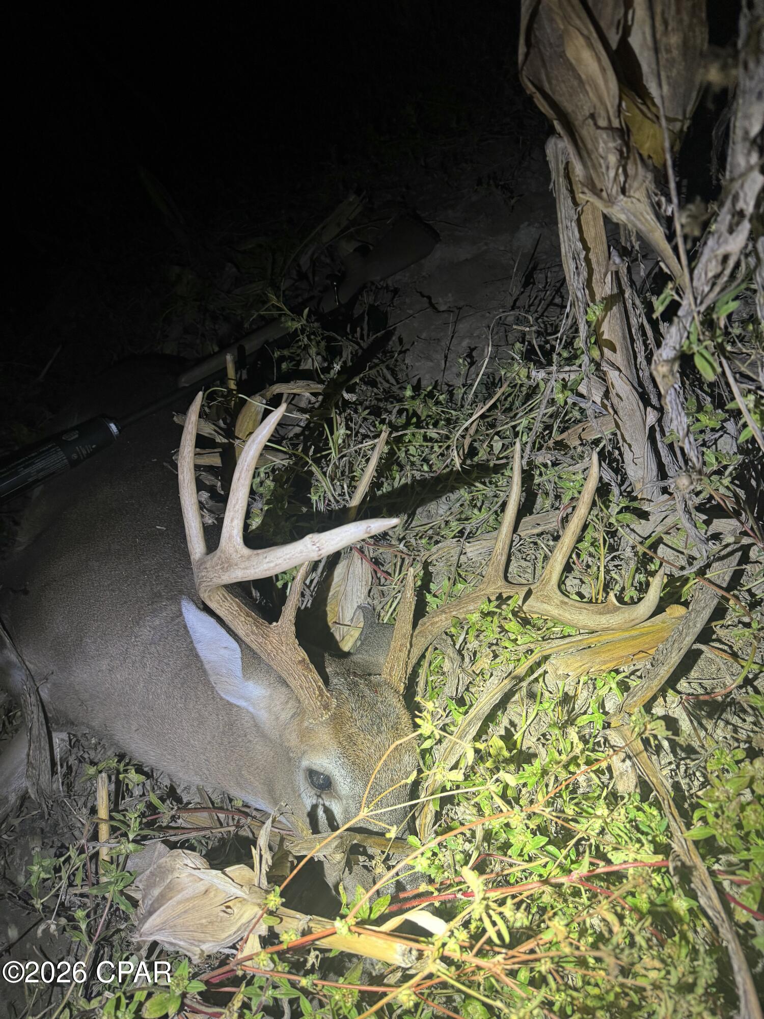 [No Recorded Subdiv] - Land