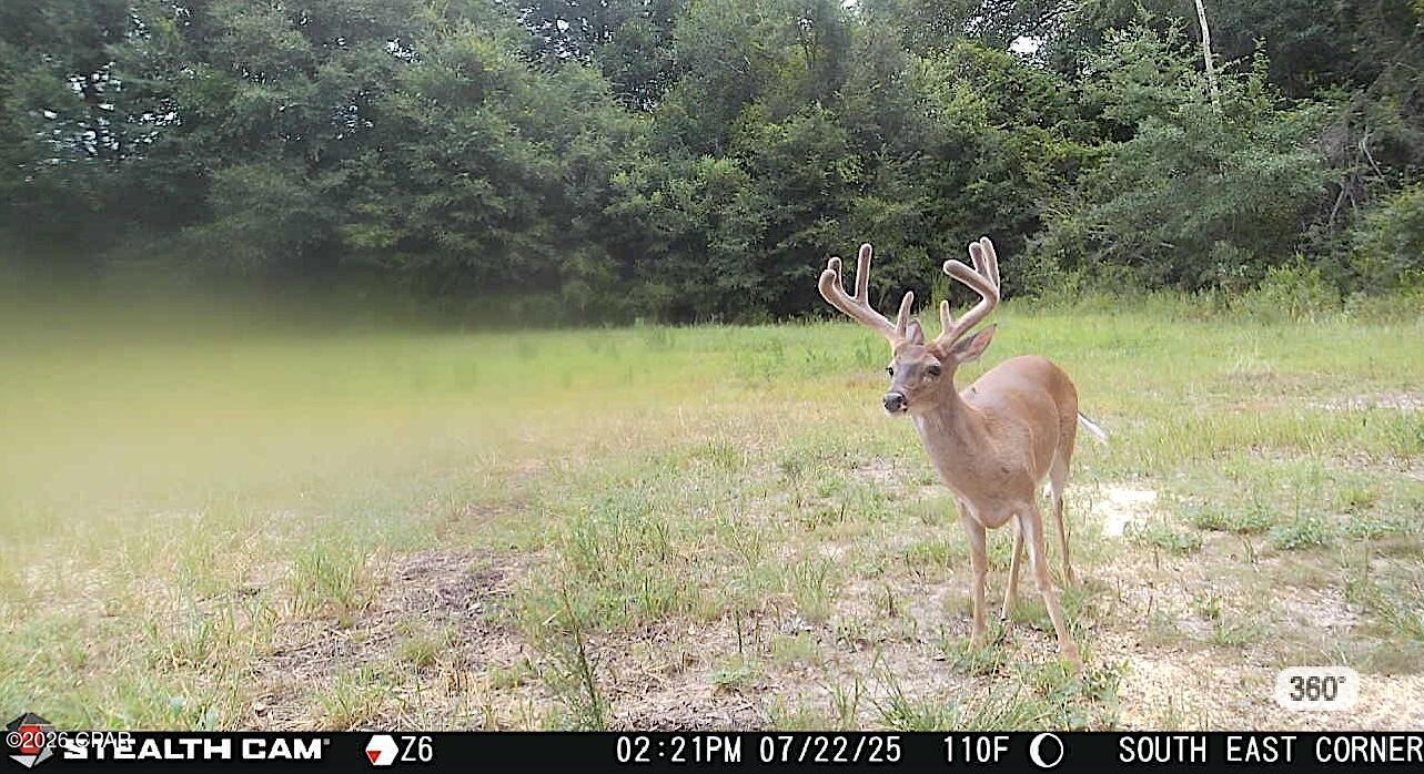 [No Recorded Subdiv] - Land