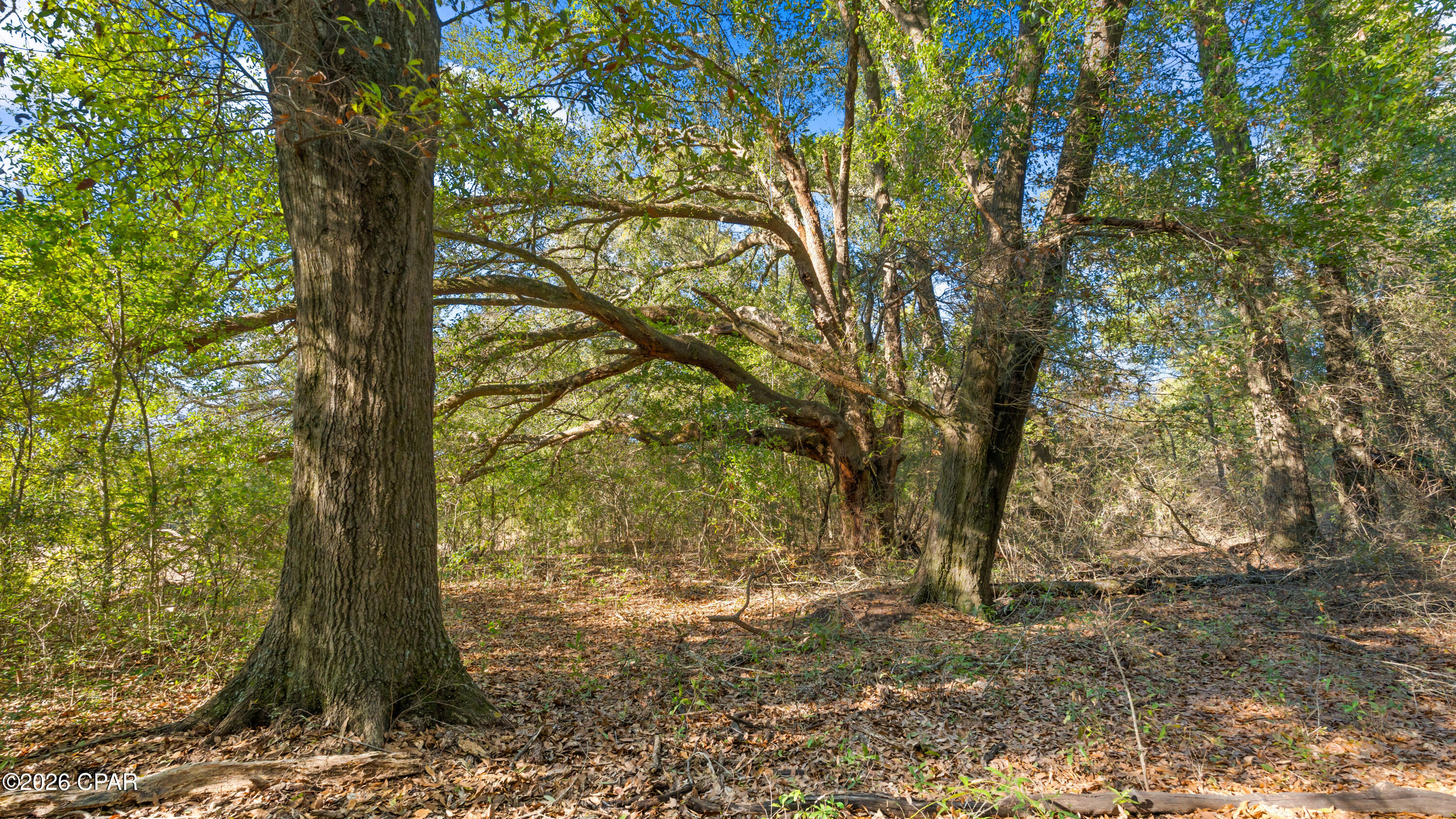 [No Recorded Subdiv] - Land