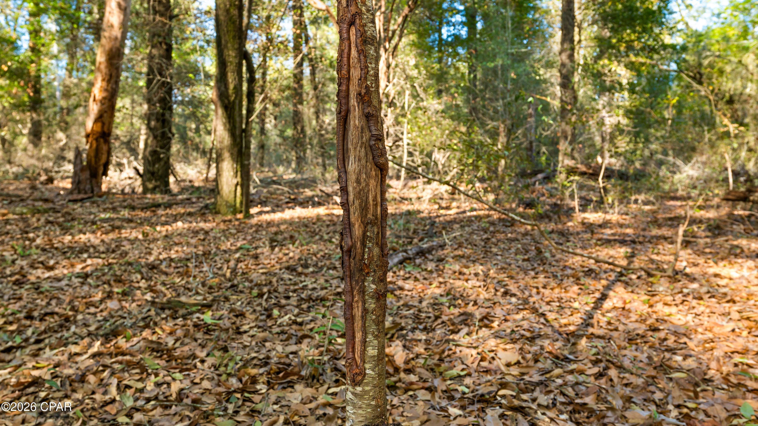 [No Recorded Subdiv] - Land