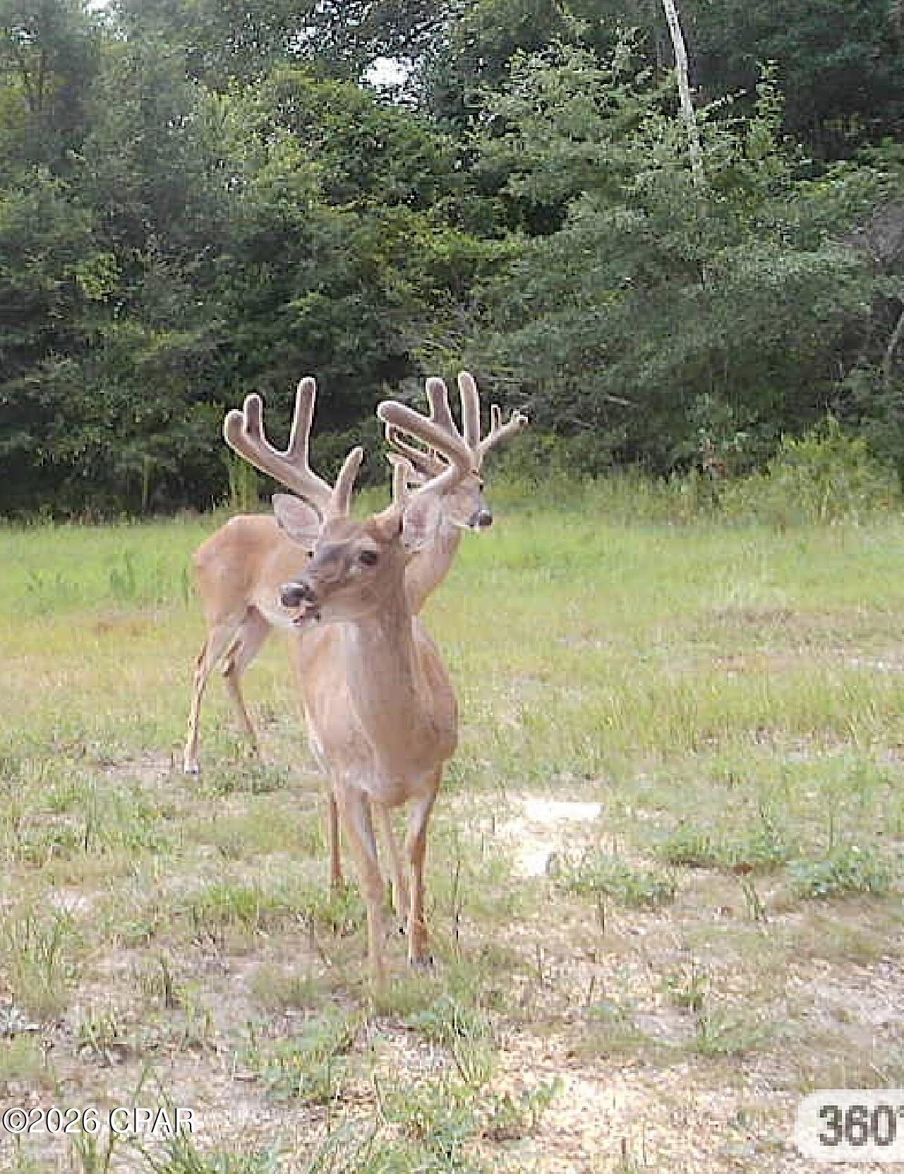 [No Recorded Subdiv] - Land