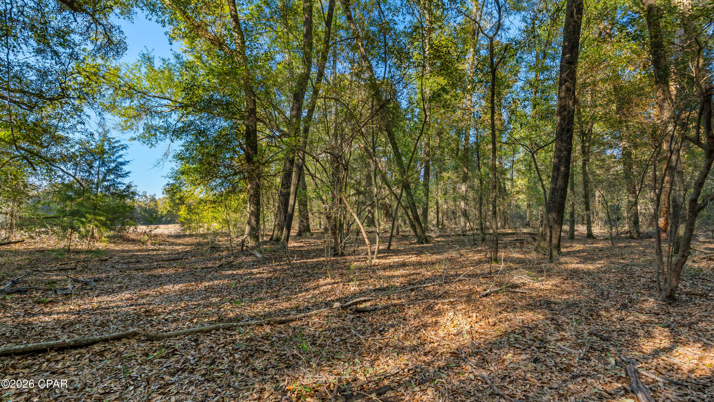 [No Recorded Subdiv] - Land