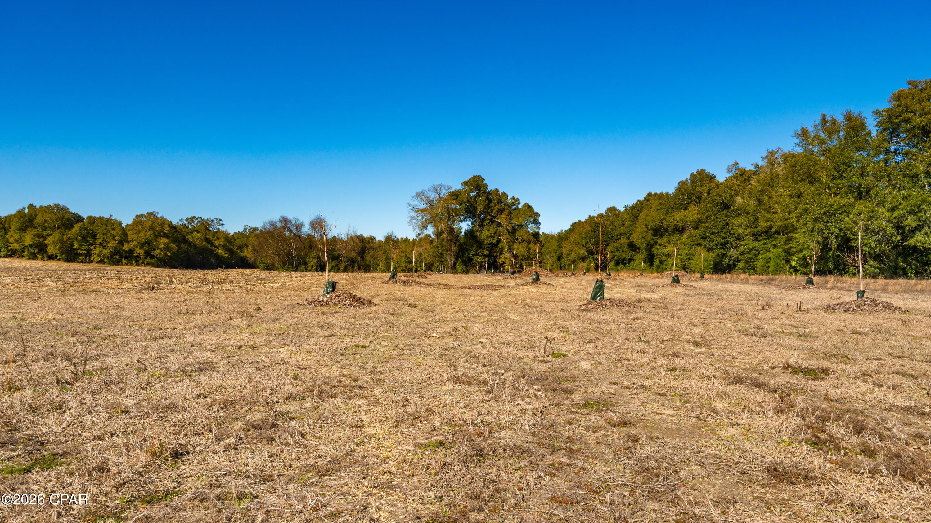 [No Recorded Subdiv] - Land