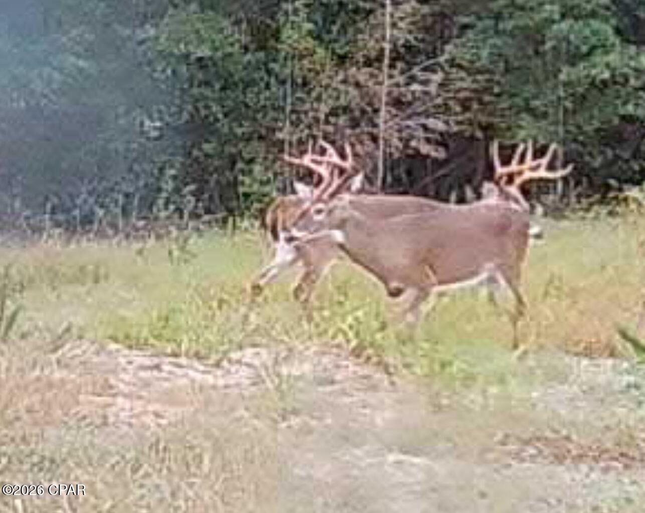 [No Recorded Subdiv] - Land