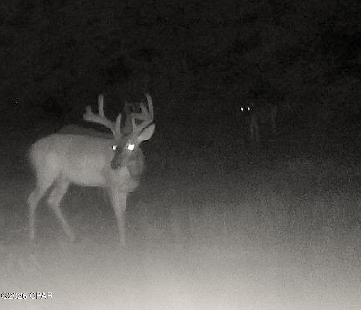 [No Recorded Subdiv] - Land