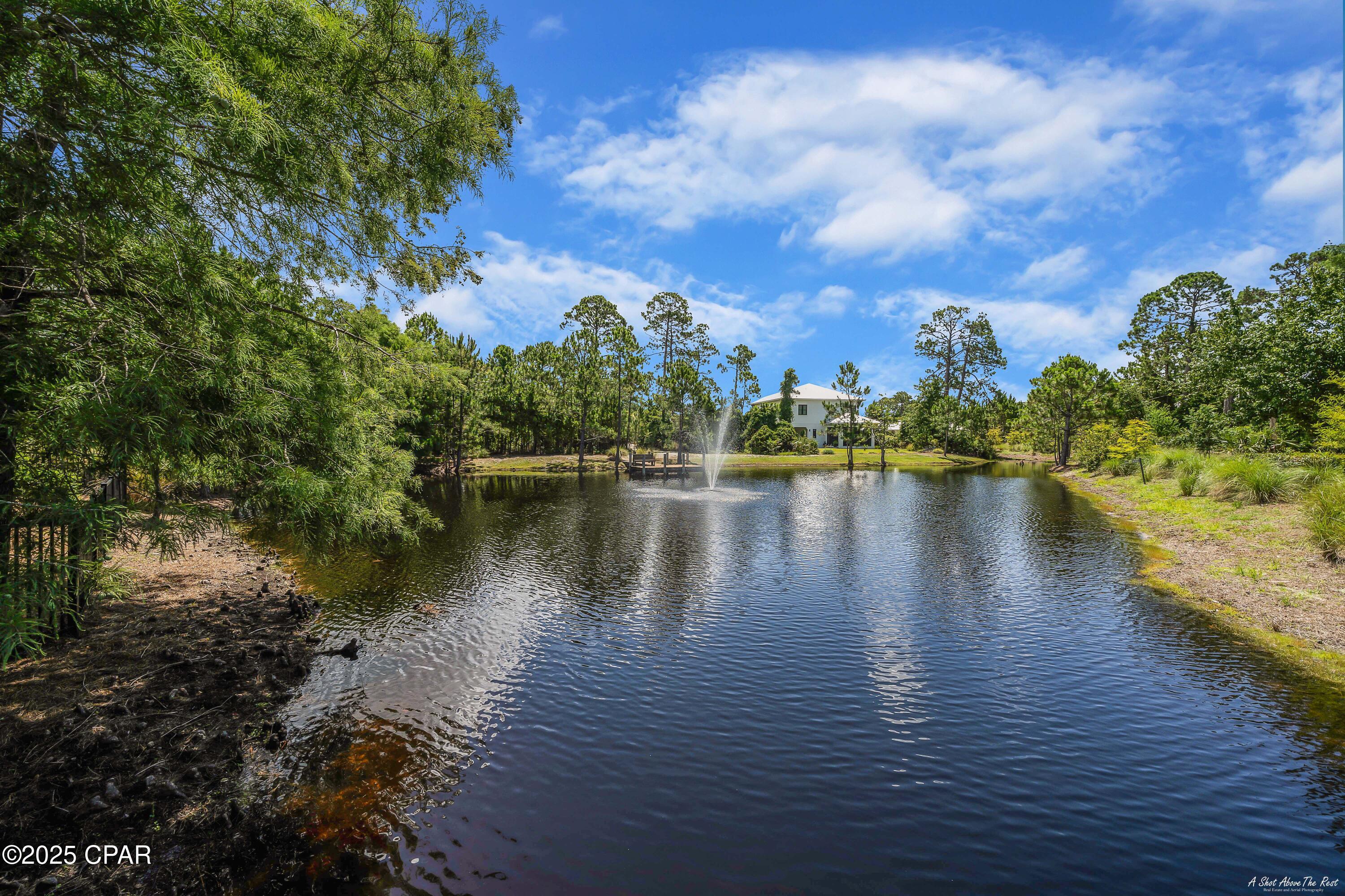 Martinique Phase I - Land