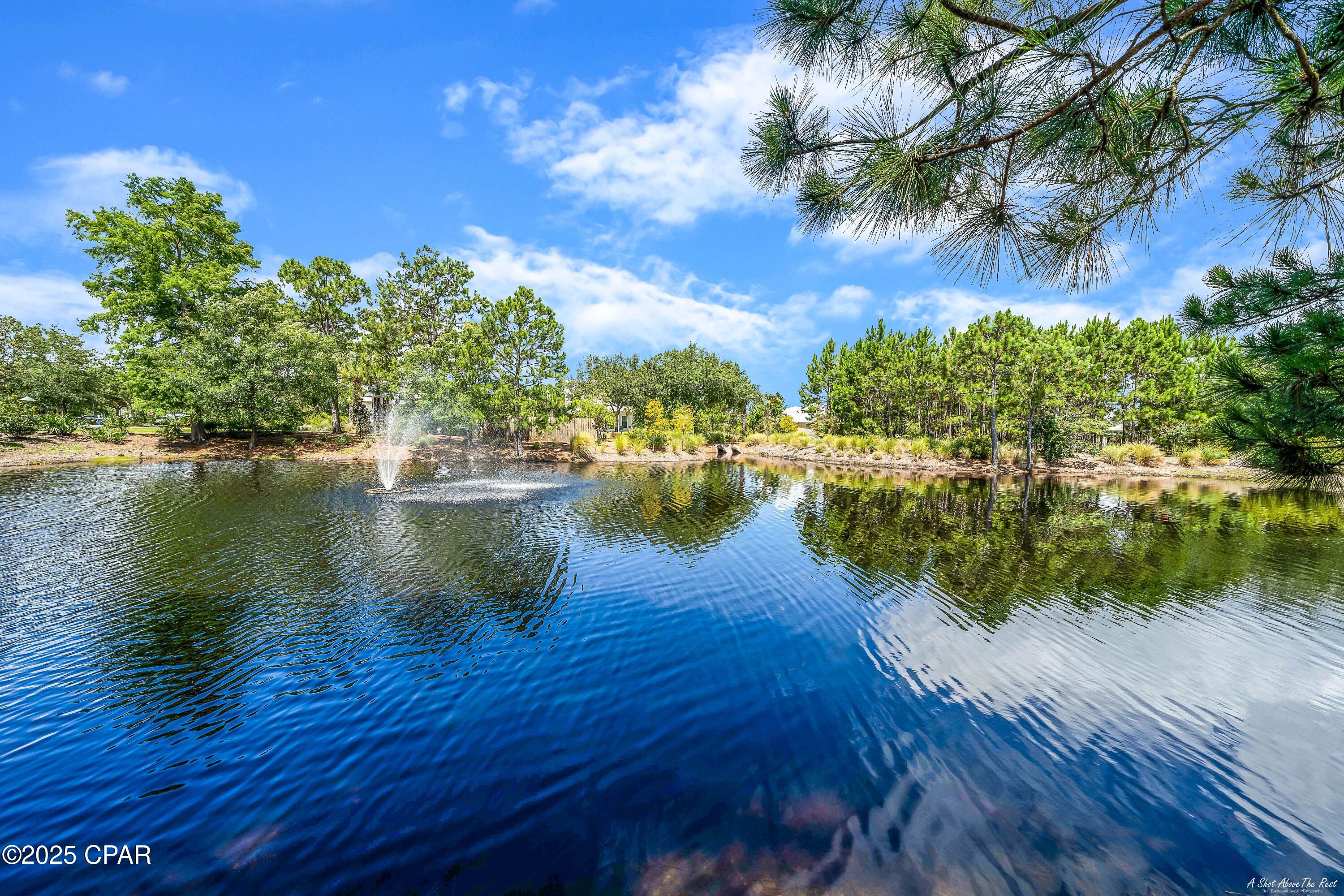 Martinique Phase I - Land