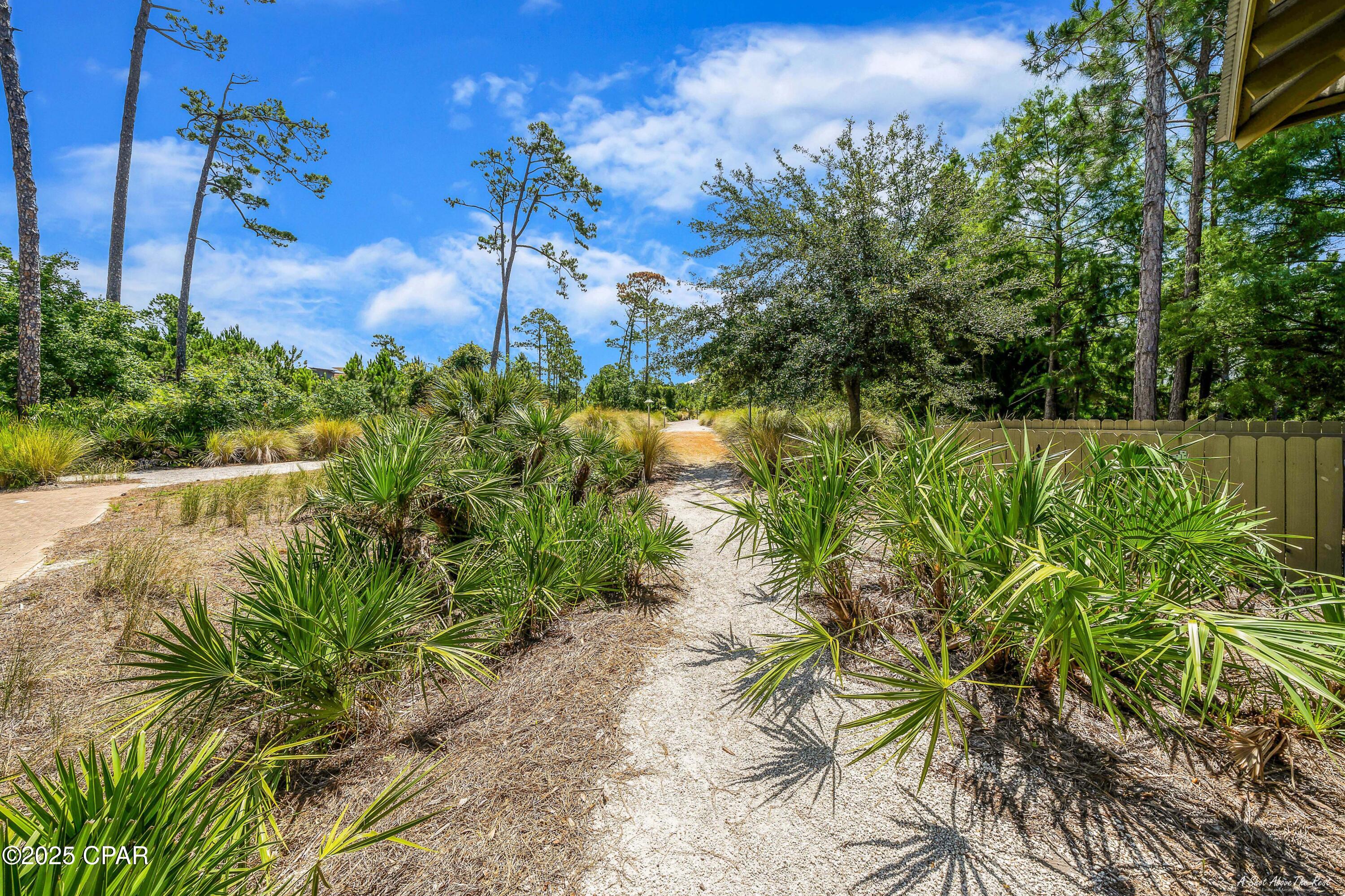 Martinique Phase I - Land