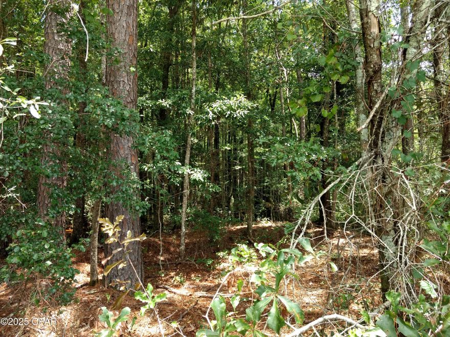Beautiful lot in the Reedy Creek Sub-Division. All lots have underground electric already in place. Lightly wooded with some nice shade trees. This would make a great home site. Lots of deer and wildlife in this area. Only about an hour from Panama City Beach.