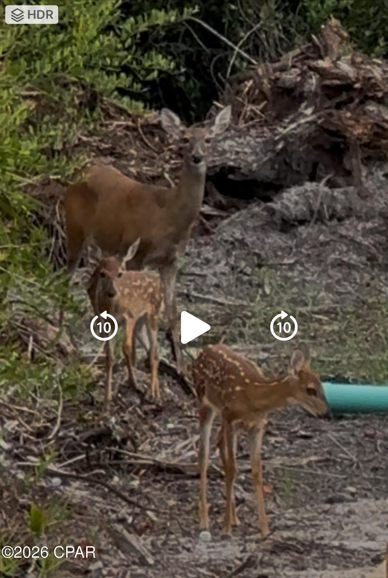 [No Recorded Subdiv] - Land