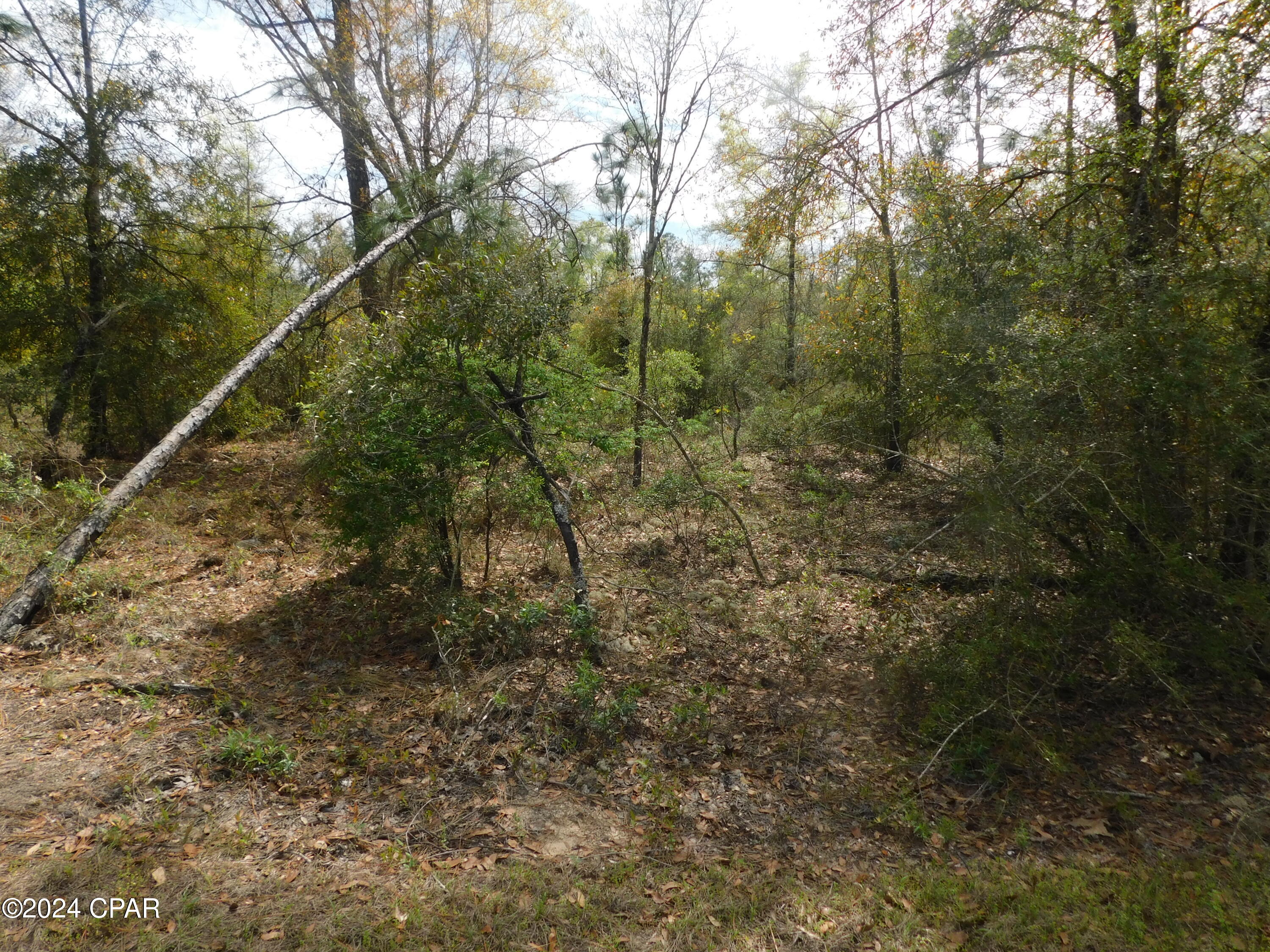 [No Recorded Subdiv] - Land