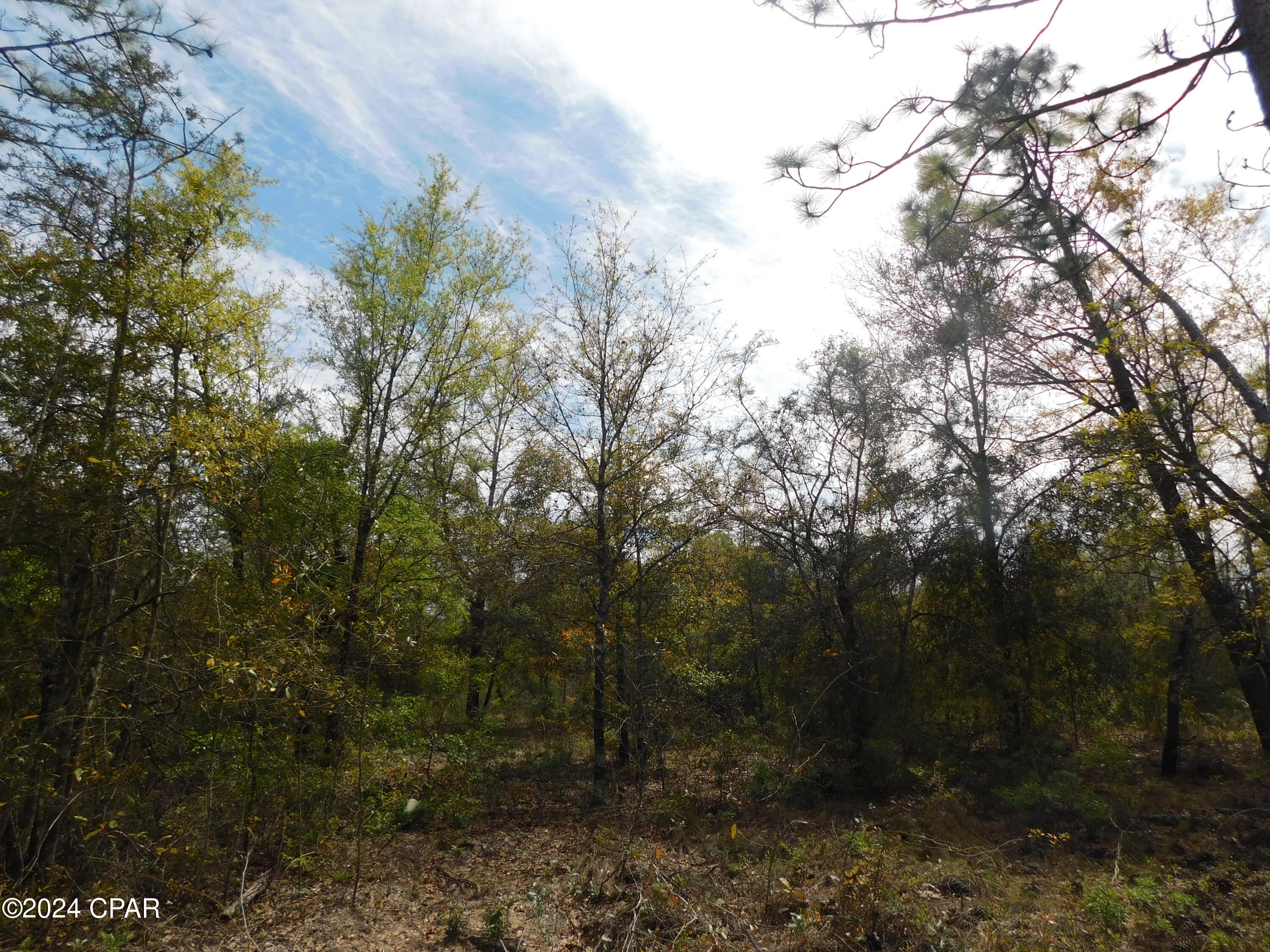 [No Recorded Subdiv] - Land