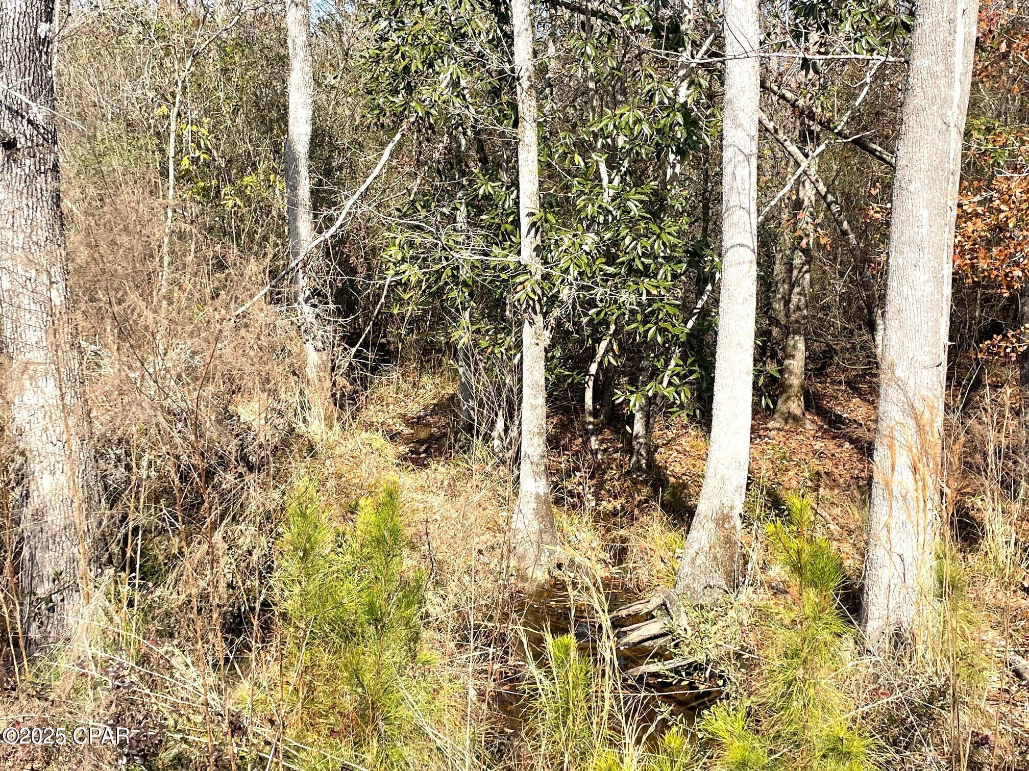 [No Recorded Subdiv] - Land