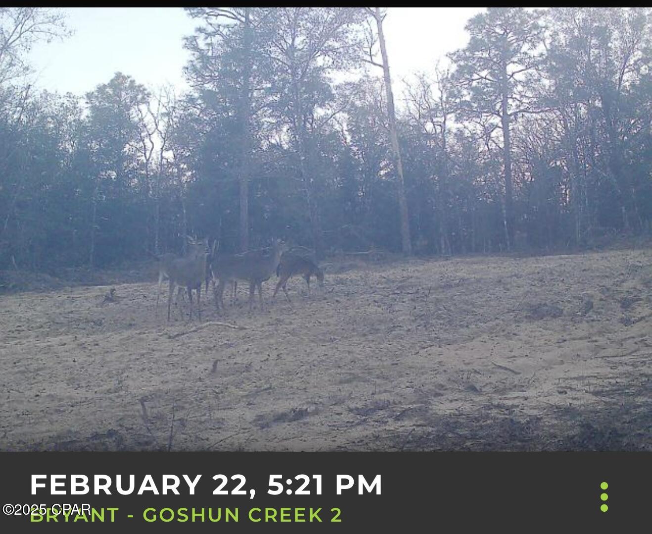 Goshun Creek Acres - Land