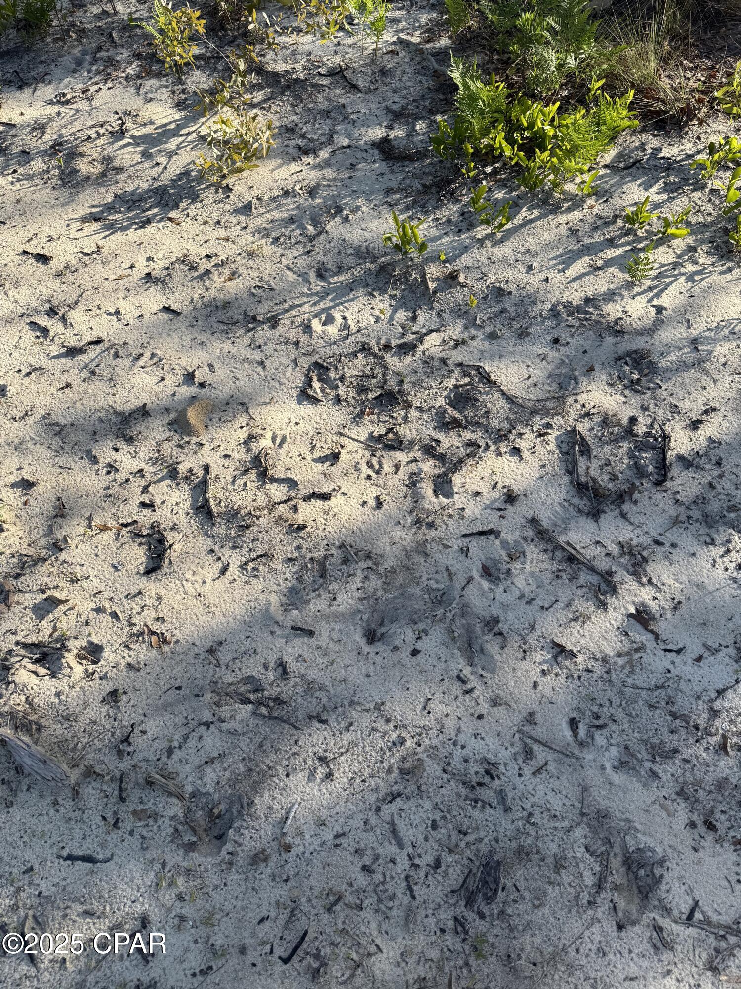 Goshun Creek Acres - Land