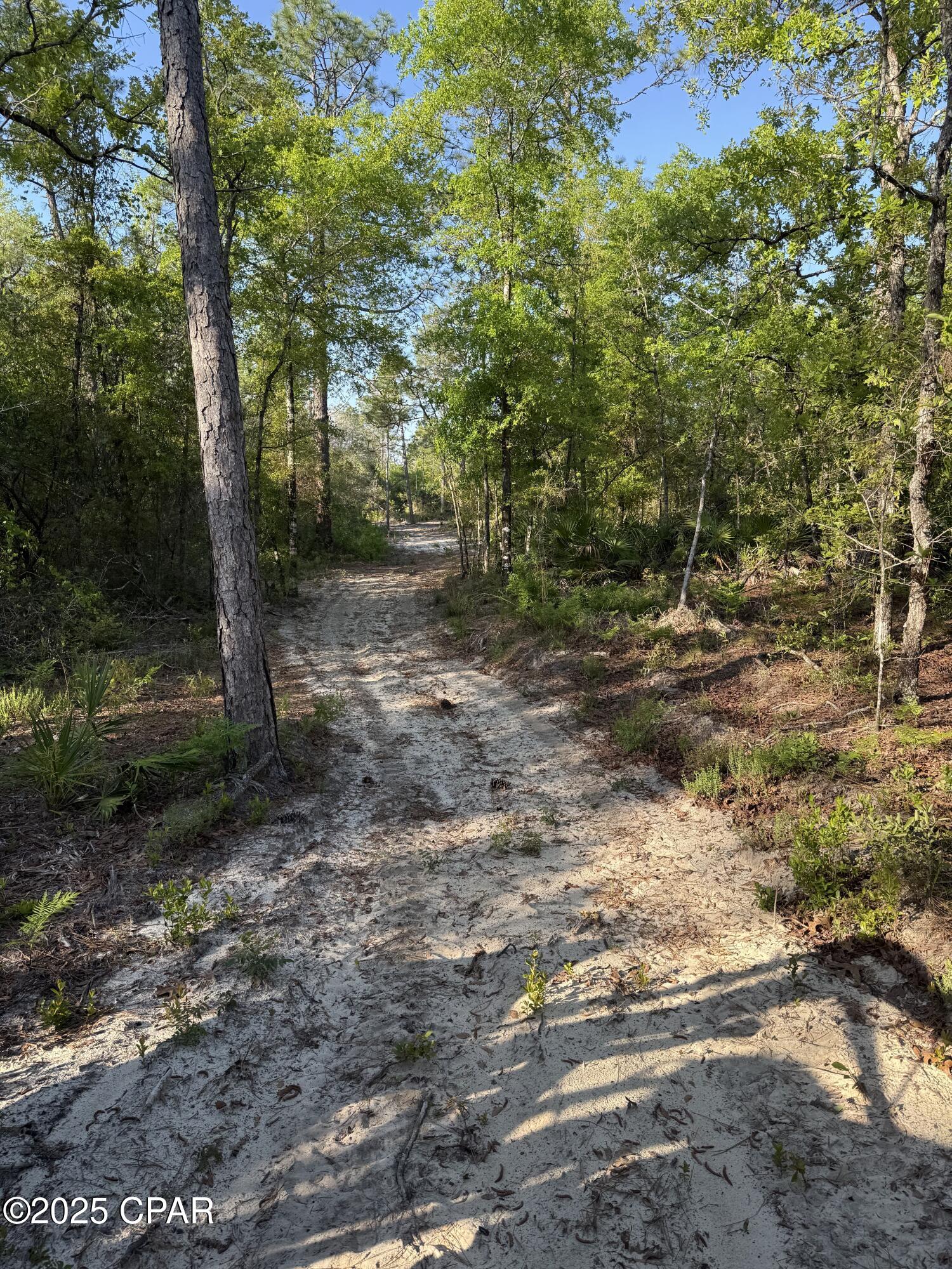 Goshun Creek Acres - Land