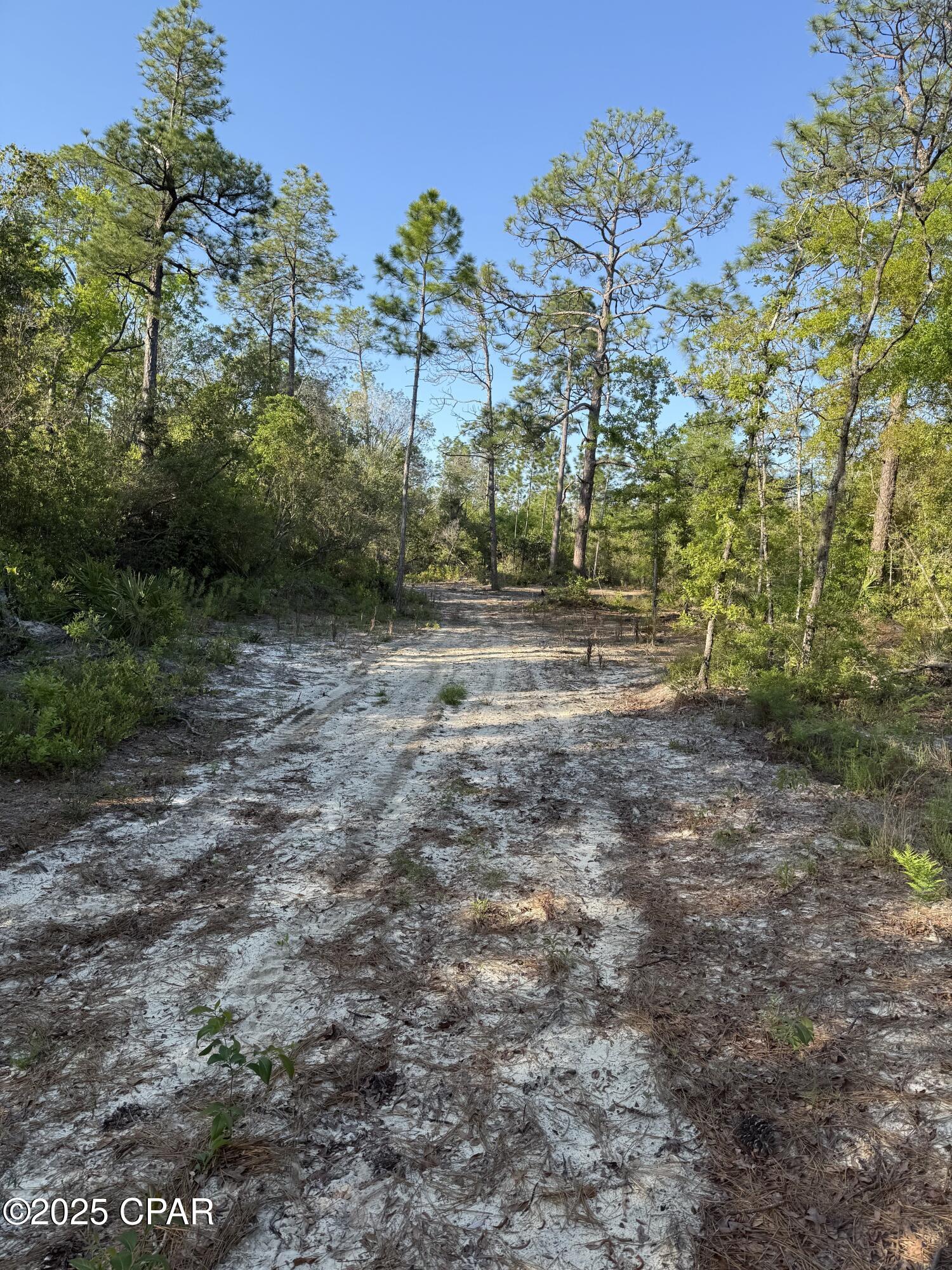 Goshun Creek Acres - Land