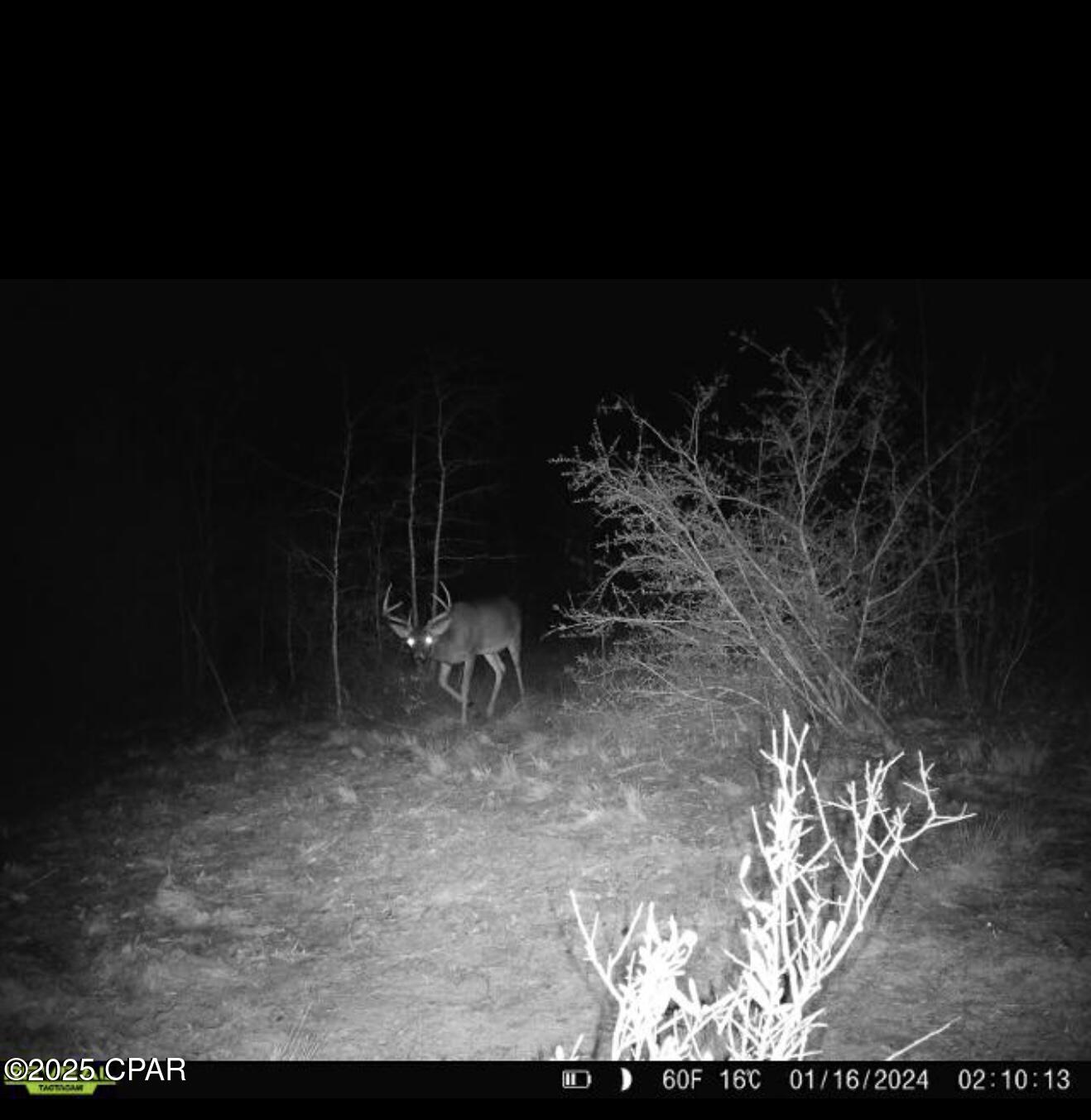 Goshun Creek Acres - Land