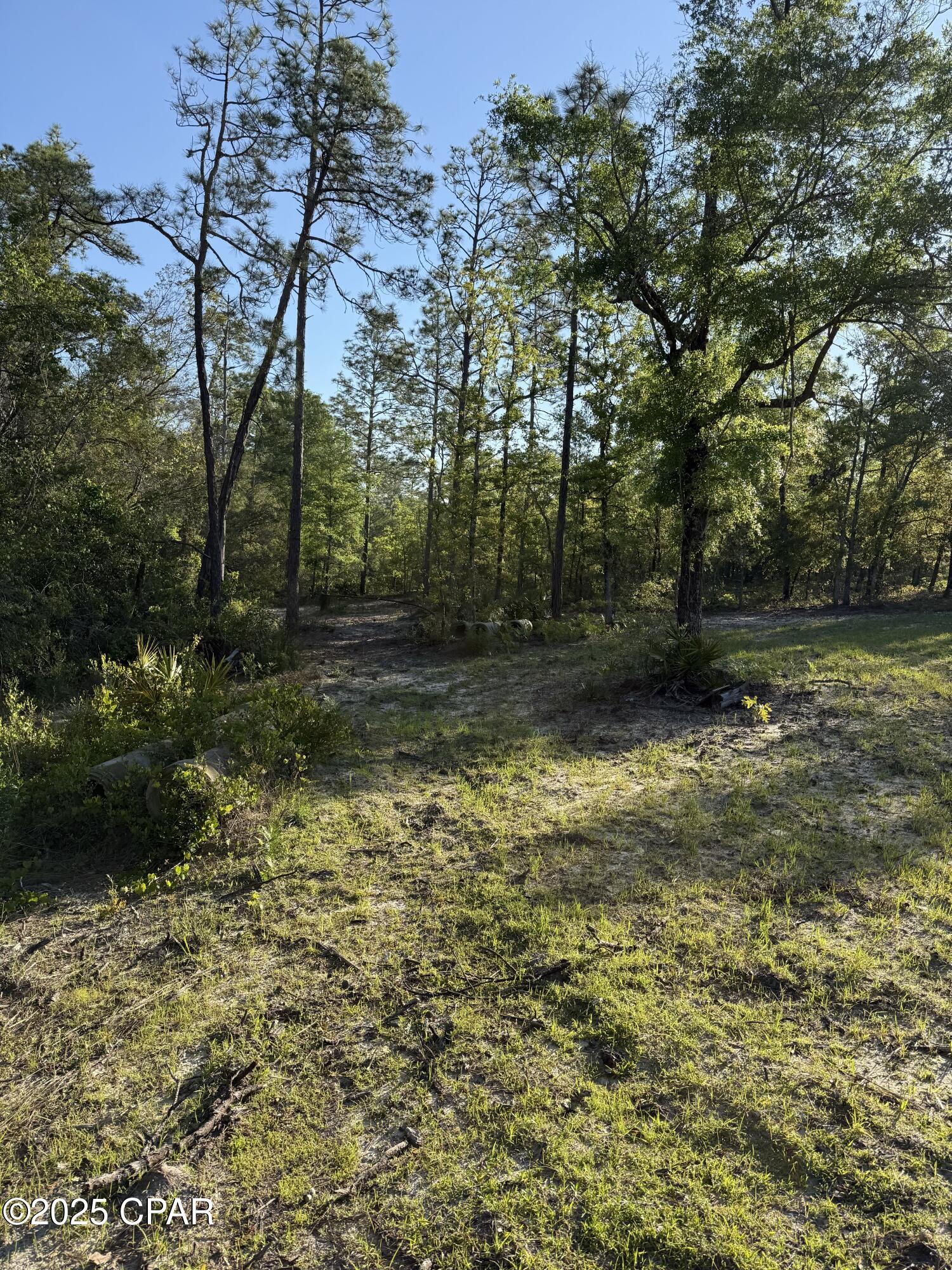 Goshun Creek Acres - Land