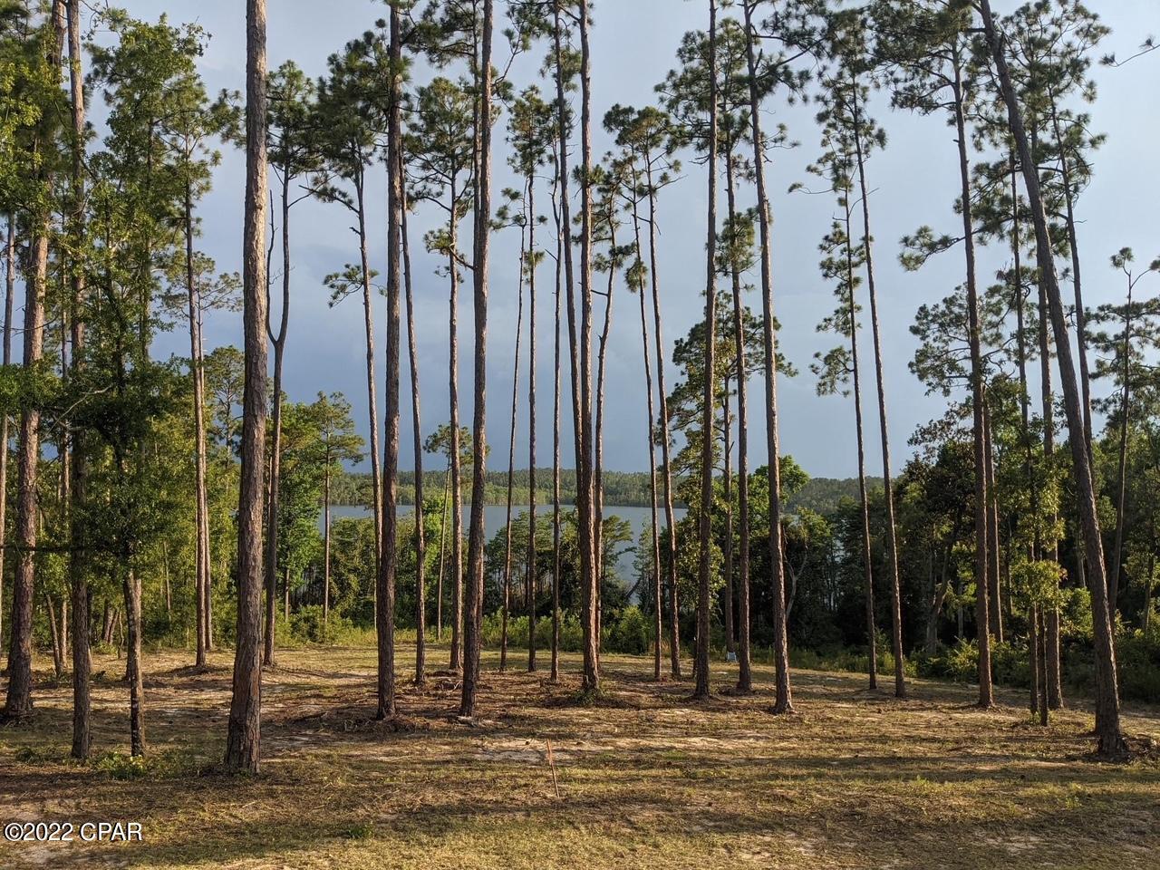 Compass Lake In The Hills - Land