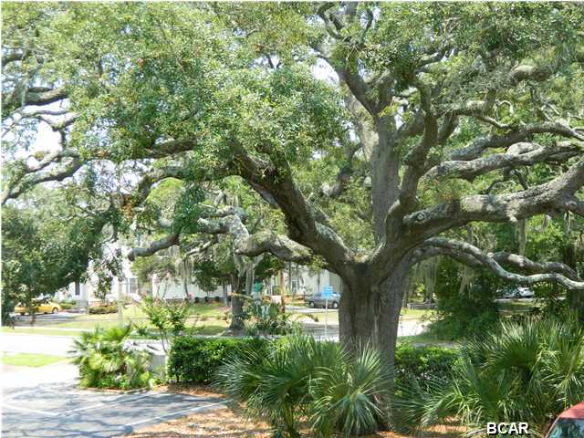 Landmark On St. Andrews Bay - Residential