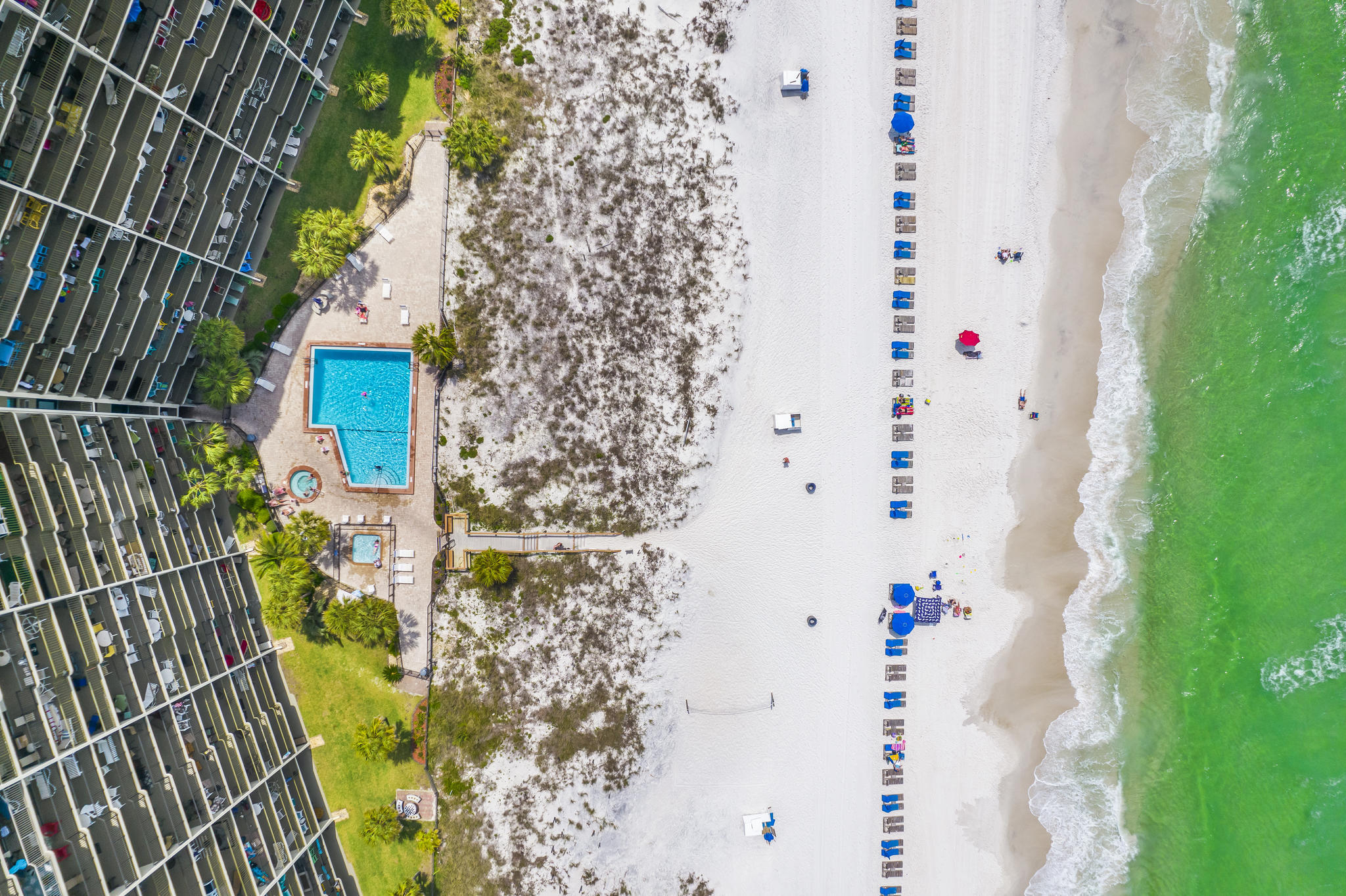 The Commodore - Residential