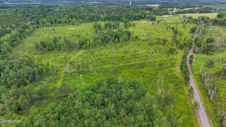 Gorgeous 13.3 acre tract in Northern Holmes County awaiting your homestead! This piece offers paved road frontage and access, some perimeter fencing, and boasts a mix of open pastures with a mix of Oak trees and various hardwoods.

Located just 30 minutes south of Dothan, AL, this property offers the rural, quiet escape from the hustle and bustle, while offering quick access and convenience to everything one would need. Don't miss your chance on this gem. Schedule your showing today!