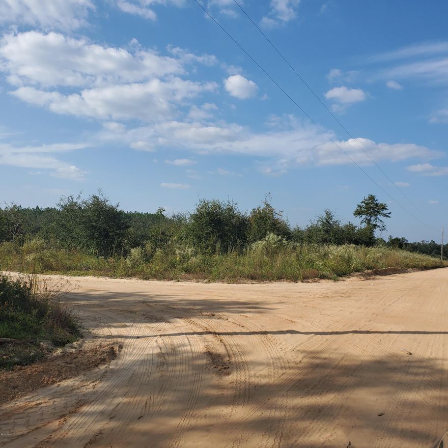 9 +/- acres high and dry land perfect for building your dream home or you mini farm!  No Restrictions.  Large Timber was cut about 5 years ago and new growth of Oak trees should make it easier to clear for pasture or construction.  Road Frontage is 300 feet on Americus Road and 1275 feet on Dellwood Cypress Road. Private and low traffic!