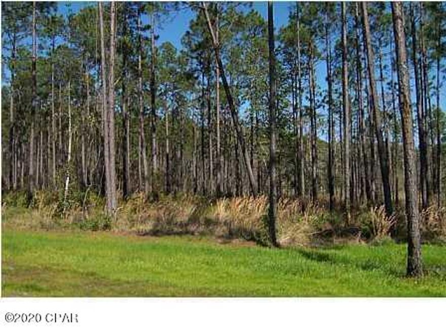 Great Opportunity in Panama City Beach at RiverCamps - a wooded preserve on the waters of Crooked Creek and the spectacular West Bay! Lot 164 is a beautiful wooded lot bordering a Cyprus hammock on approximately .97+/- acres and is within walking distance of the RiverHouse Complex. Across from this lot you'll find the Egret Pond - filled with Cypress trees and frequented by the white graceful birds that are natives of this area. Enjoy peaceful walks on the natural trails meandering through the community along the waters edge.