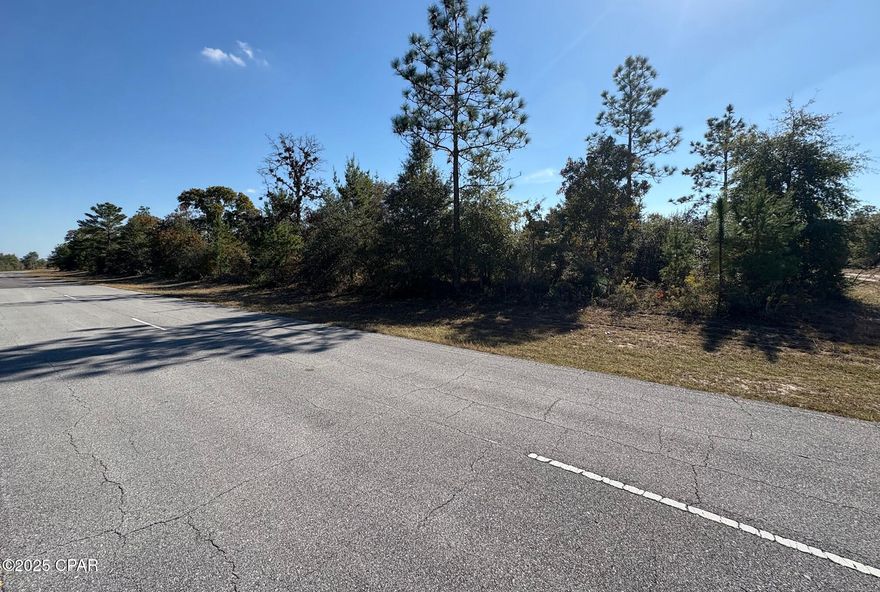 *** ATTENTION INVESTORS / COMMERCIAL LOT PRICED WAY BELOW COMPARABLE LISTINGS / MOTIVATED SELLER *** Presenting a rare and highly versatile 1-acre commercial parcel located in the growing master-planned community of Sunny Hills, Florida. This property offers exceptional development flexibility thanks to the broad list of permitted commercial uses outlined in the Unit 8 Covenants & Restrictions. Among these opportunities, one of the most compelling is the allowance for multi-family development—including duplexes, townhomes, and apartment-style structures—making this an ideal investment for builders, developers, or portfolio investors seeking to capitalize on residential demand in a rapidly expanding region of Northwest Florida.  Positioned within the Sunny Hills commercial district, this parcel sits in a location that supports both residential density and commercial functionality. With power at the street and water service reported available through US Water, the lot offers meaningful development head-start advantages compared to undeveloped raw land. The size, layout, and accessibility of this parcel provide the foundation for a wide range of income-producing structures with the potential for strong long-term value. Sunny Hills is an expansive, unincorporated community in Washington County known for its gently rolling topography, scenic woodlands, freshwater lakes, and a blend of residential and recreational amenities. Located just off Highway 77, Sunny Hills offers direct north-south access between Chipley (10-12 minutes north) and Panama City (25-30 minutes south). Highway 77 is a key commercial and commuter corridor, supporting increasing travel and residential growth through the region—an excellent advantage for any future multi-family or commercial development. The community itself features an 18-hole public golf course, a 44-acre swimming and recreation lake, parks, boat landings, nature areas, and miles of paved roads. Ongoing residential construction continues to bring new homeowners and renters to the area, increasing demand for professional services, retail, and most importantly—quality housing. This trend directly supports the viability of a multi-family development on this parcel. Commercial Zoning Flexibility & Multi-Family Development Potential. According to the Covenants & Restrictions for Unit 8, this parcel benefits from a wide list of approved commercial uses. While the buyer should verify final details independently, permitted uses include various types of businesses, professional offices, service-based enterprises, and mixed-use concepts. However, what sets this lot apart from most commercial parcels is the unique allowance for multi-family housing options. All information concerning lot courtesy of Washington County GIS and Deltona. All info deemed correct but not guaranteed by seller. Buyer to do their own due diligence to determine if lot is suitable for their business/investment plans. ***Seller is a licensed Florida real estate agent. ***