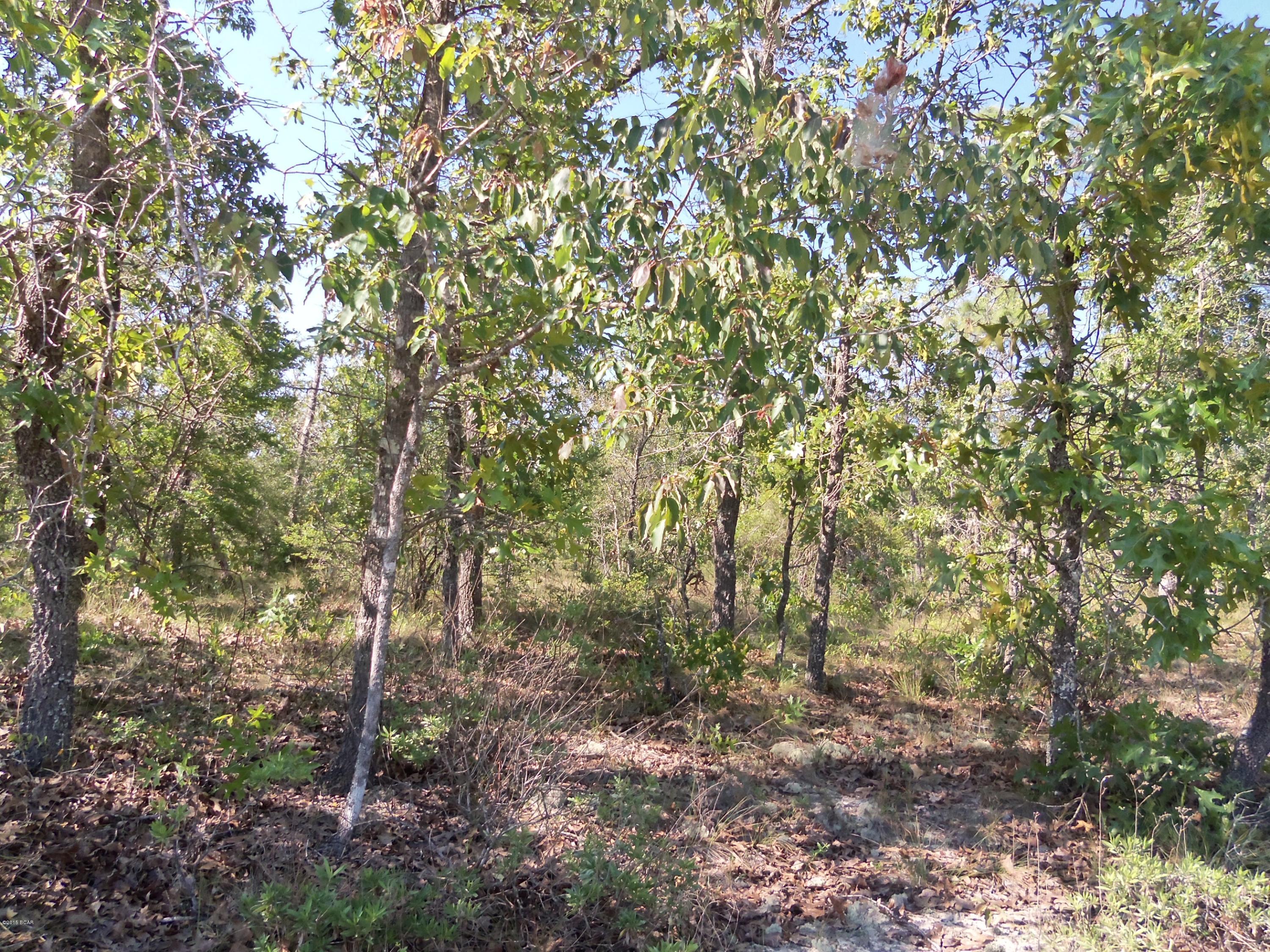 Sunny Hills Unit 5 - Residential