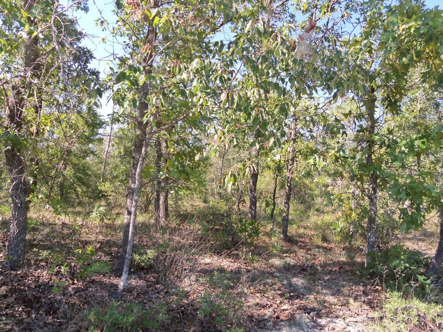 Great building lot in Sunny Hills. Close to Hwy 77, north of Main Sunny Hills Gate. Newer homes already built in this area. Very picturesque area. (All sizes approximate and taken from public records, buyer to verify any details buyer deems important).