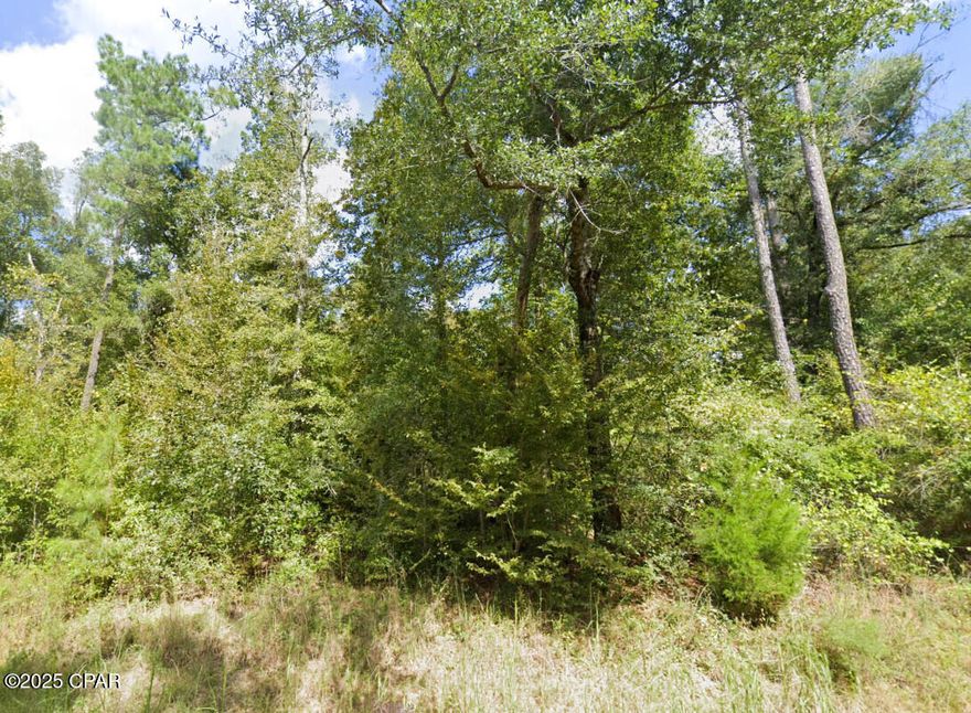 Discover the best of both worlds on this generous 14.02-acre parcel located just 5-minutes outside of Marianna, FL. Currently zoned Timberland - AG 2 and no deed restrictions, this spacious property has the potential for your new home, recreational activities, agricultural ventures or investment possibilities - just imagine the potential opportunities with this property! There's also the possibility for multiple residences here - be it a traditional site-built house, manufactured home(s), or barndominium(s). Deeded easement exists for legal access to the property. Power is available at the street for hookup - well and septic needs installed. Why wait any longer to check out this property?