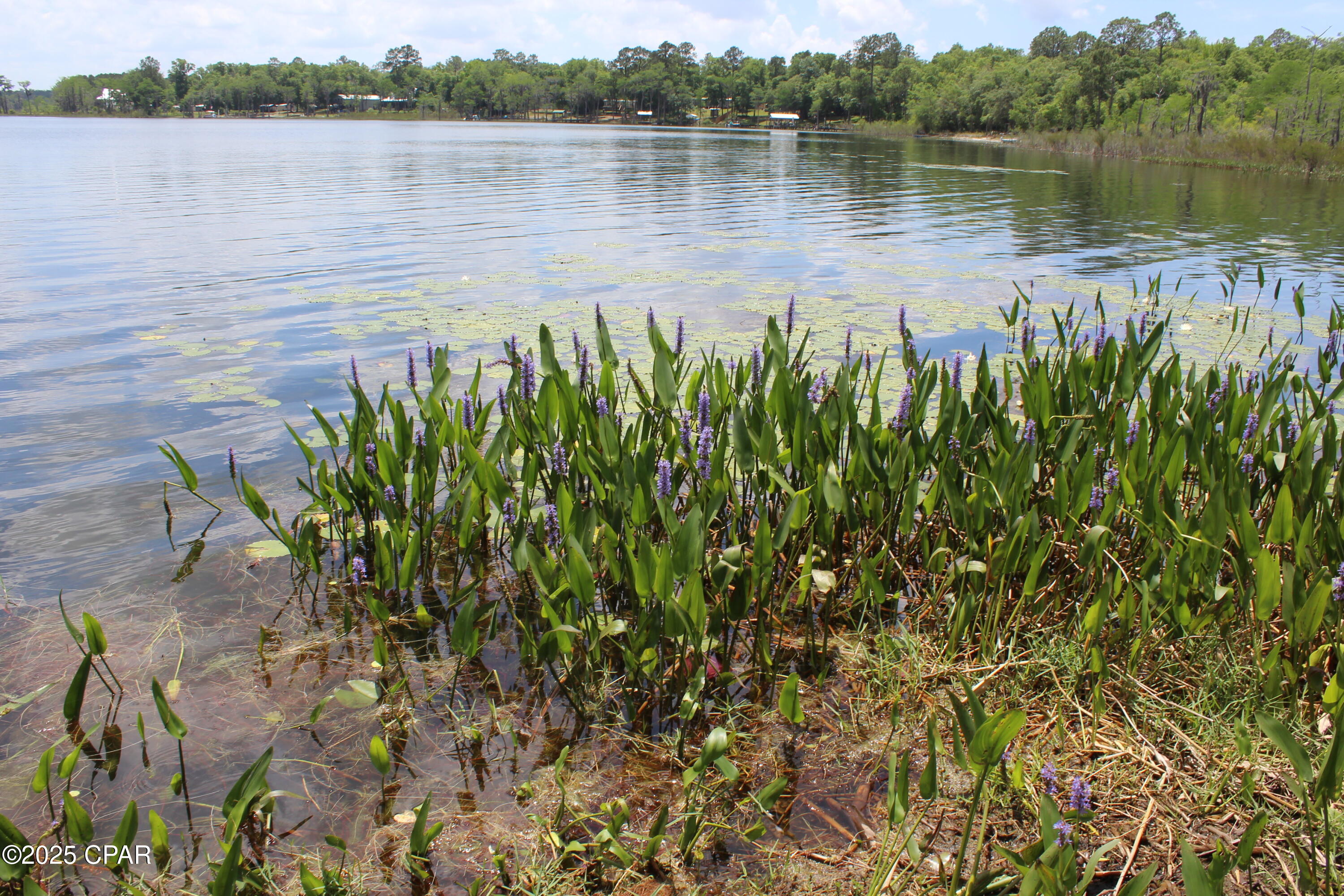 Village Of Spanish Lakes - Land
