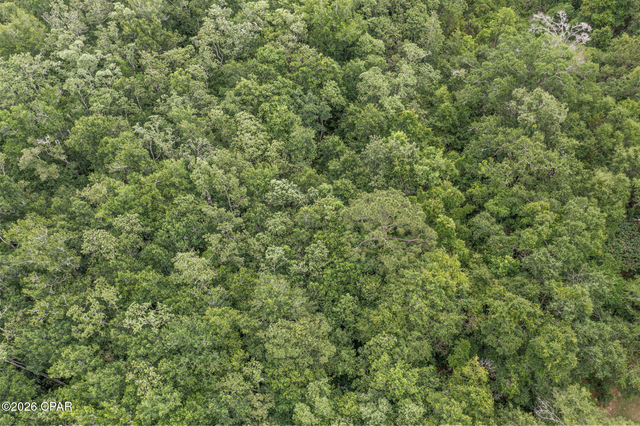 [No Recorded Subdiv] - Land