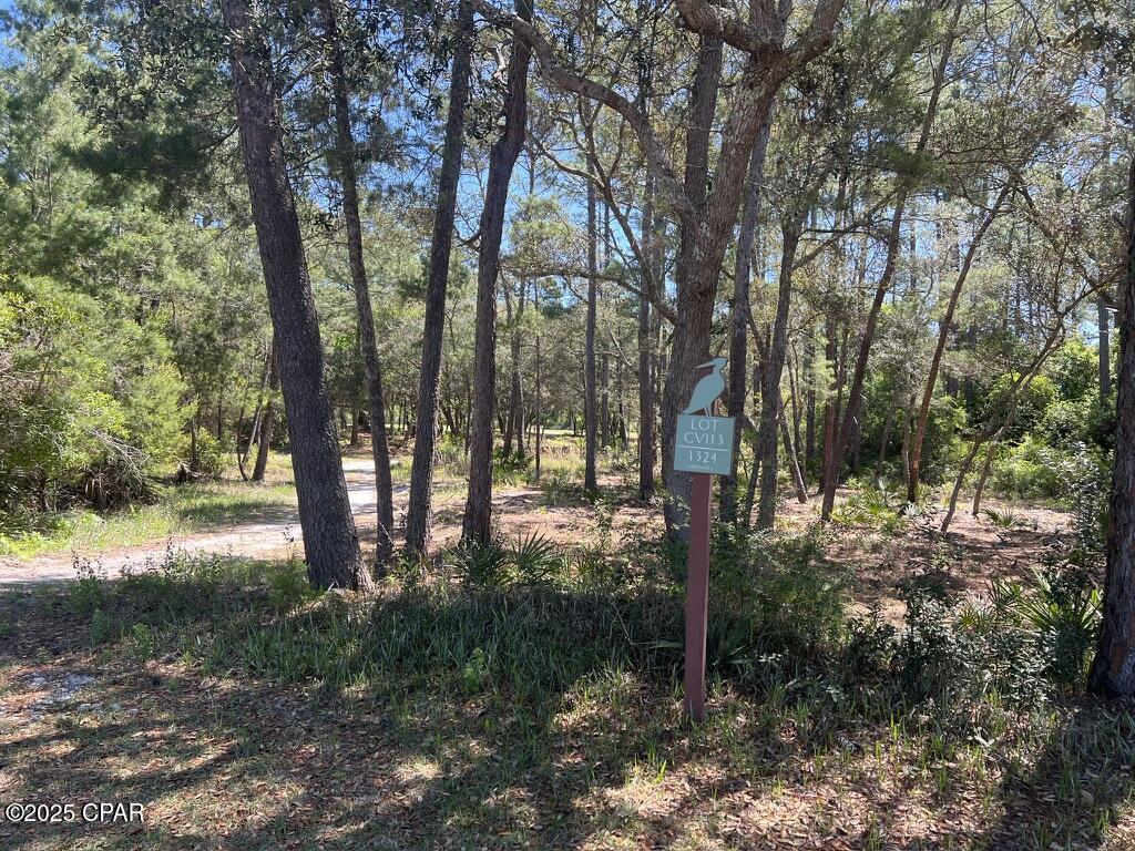 Wild Heron Phase VI - Land