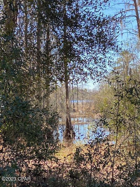 Paradise Oaks - Land