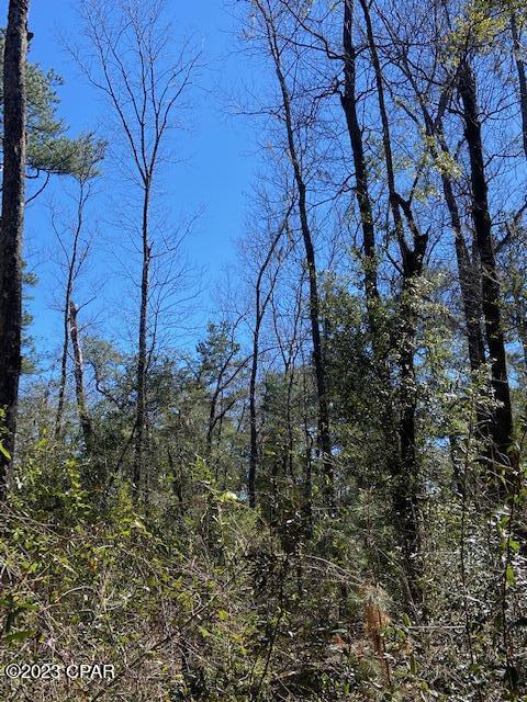 Paradise Oaks - Land