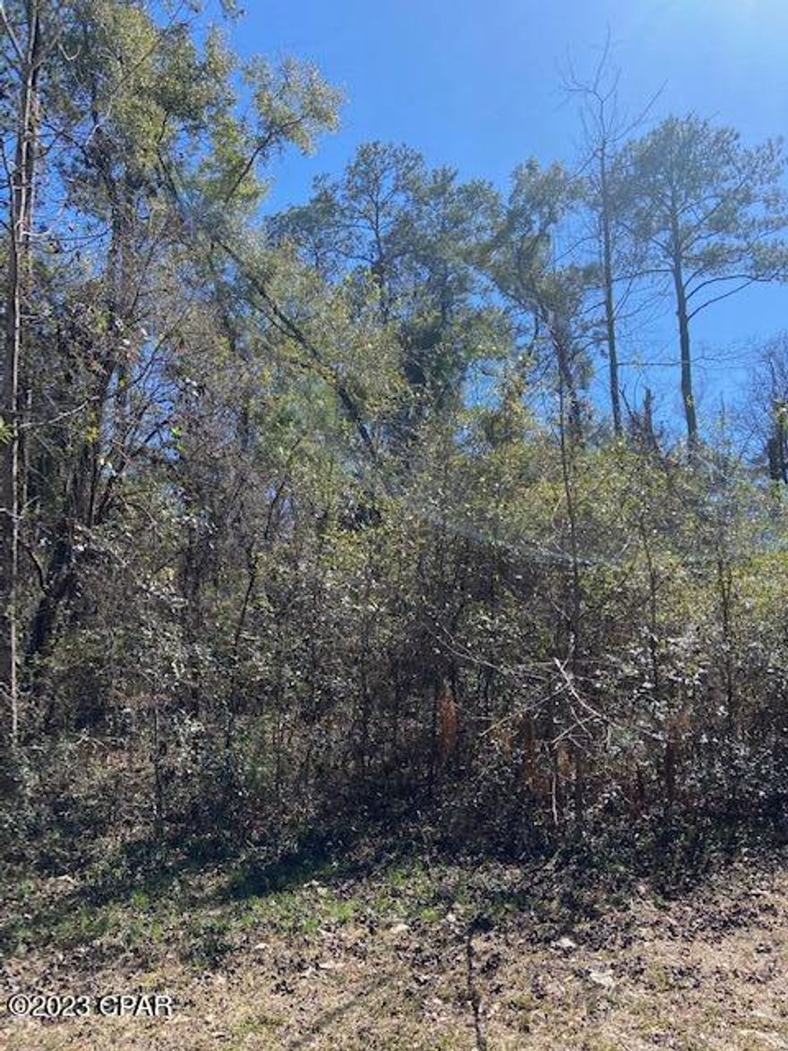 Super nice lot on Blue Gill Lake. It's located in the gated community of Paradise Lakes, This is a 1.05 acre homesite lot with beautiful trees and a nice flat terrain. This peaceful development is nice and quiet with lots of awesome birds and wildlife, nice place to walk and lake living at its best. Come check it out.