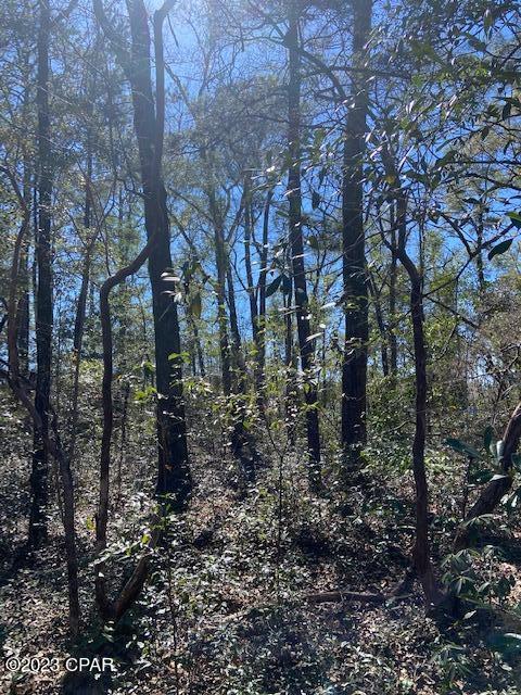 Paradise Oaks - Land