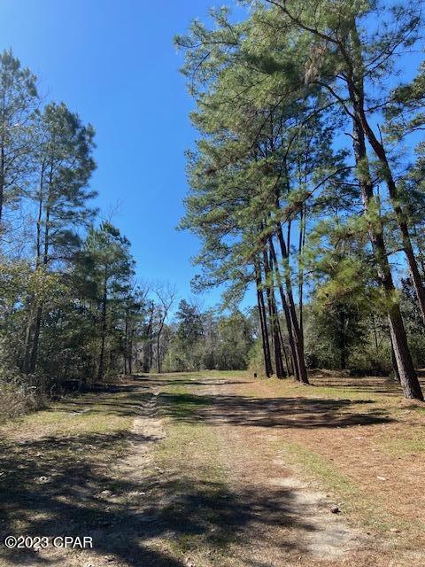 Paradise Oaks - Land