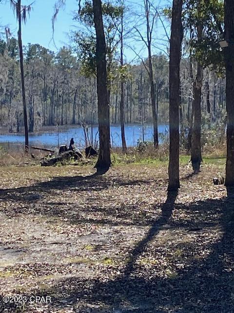 Paradise Oaks - Land