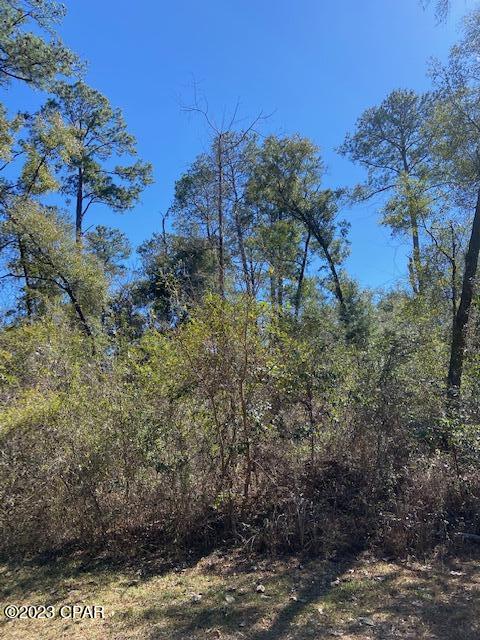 Paradise Oaks - Land