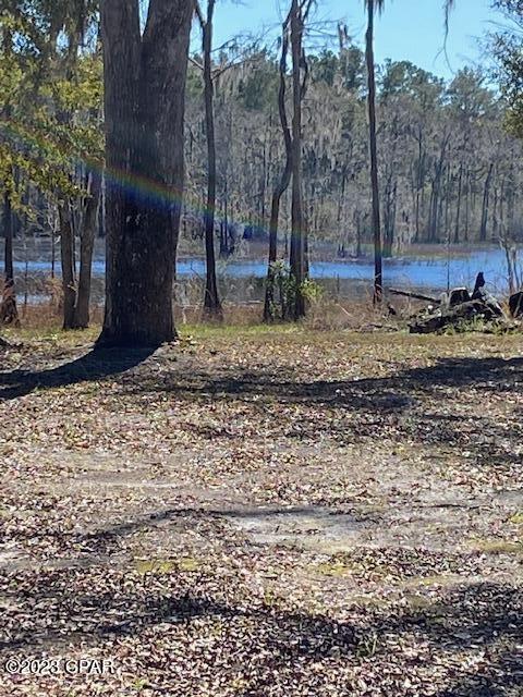 Paradise Oaks - Land