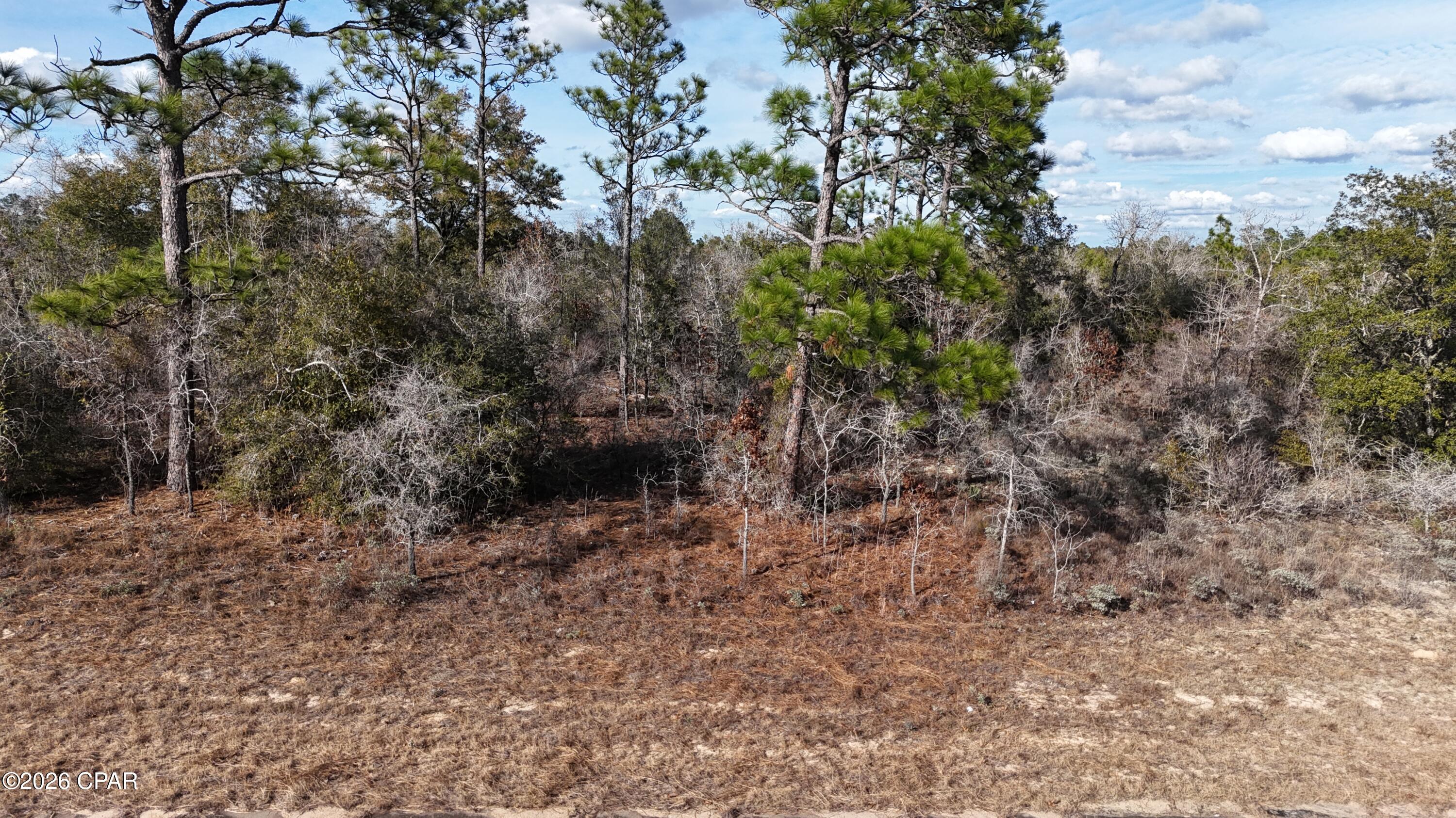 Sunny Hills Unit 11 - Land