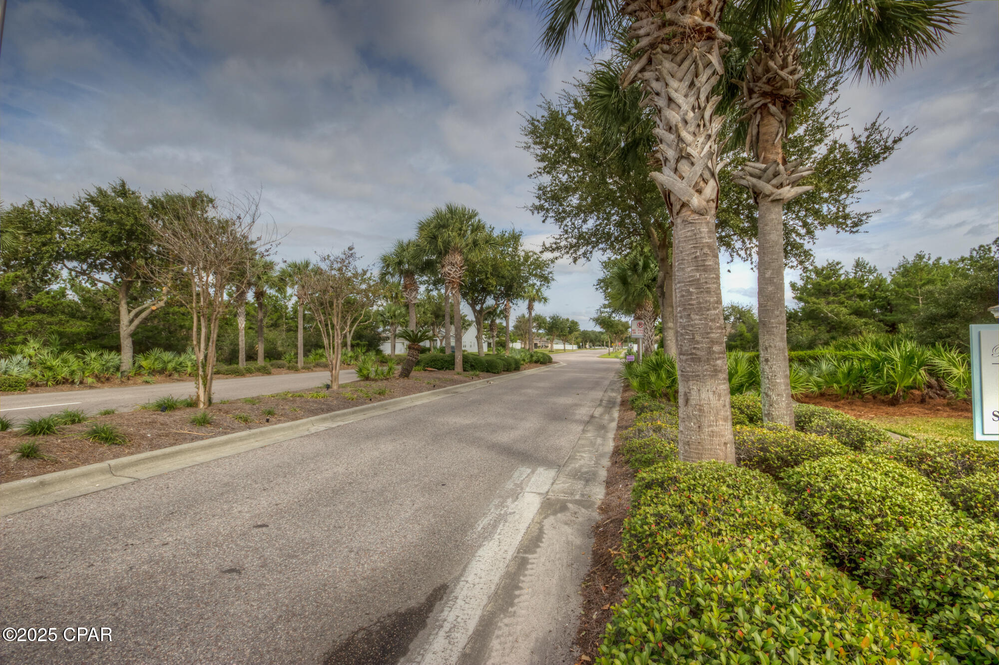 Palmetto Trace Phase 2 - Residential