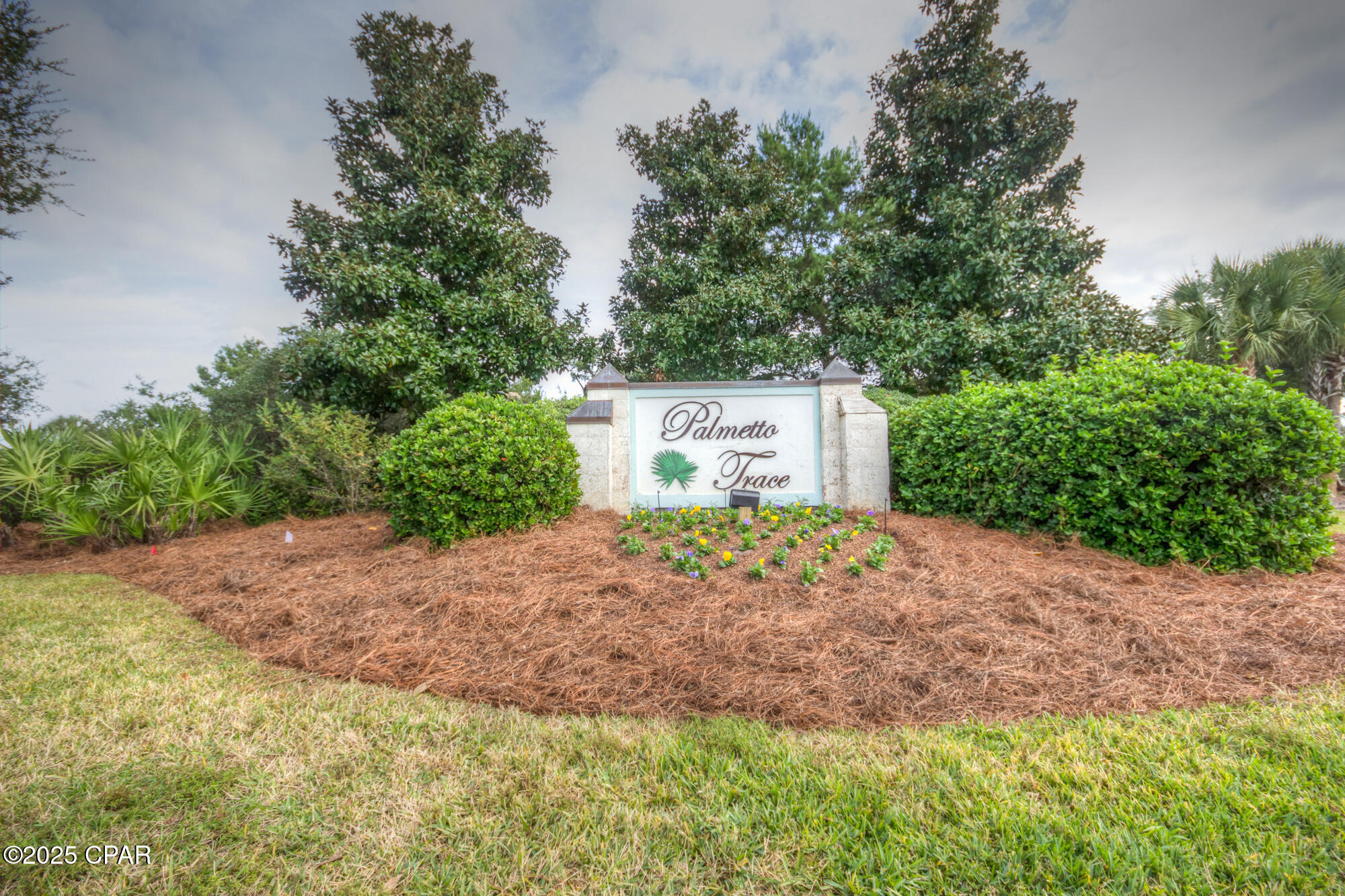 Palmetto Trace Phase 2 - Residential