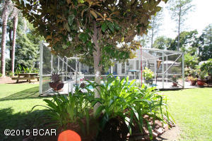 Treasure Palms - Residential