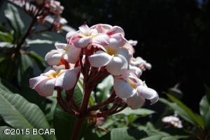 Treasure Palms - Residential